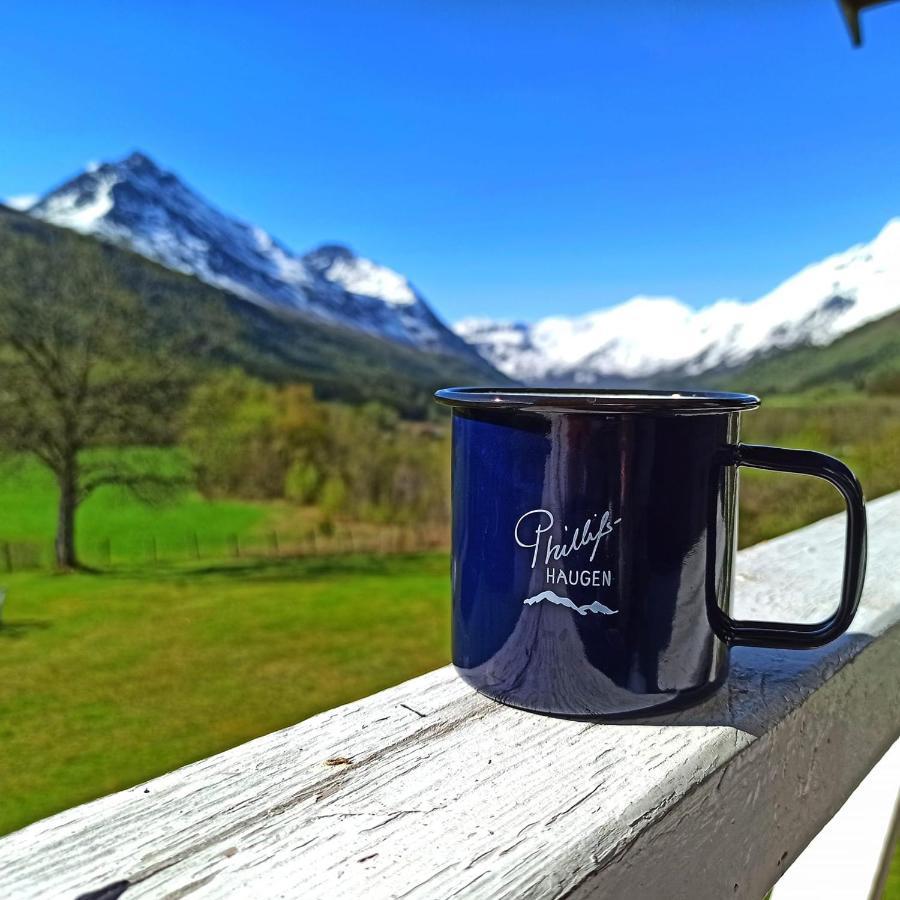 Phillipshaugen Lodge Oksendalsora エクステリア 写真